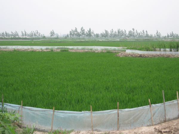 生態(tài)基地